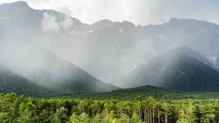 Regenschleier über einem Bergwald vor einem Bergmassiv