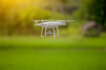 Drone flying over green wheat field in spring. Technology innovation in agricultural industry