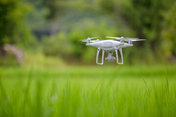Drone flying over green wheat field in spring. Technology innovation in agricultural industry