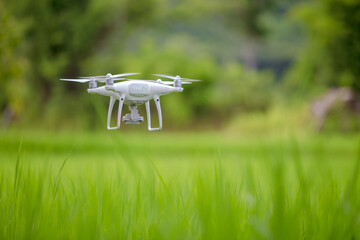 Drone flying over green wheat field in spring. Technology innovation in agricultural industry