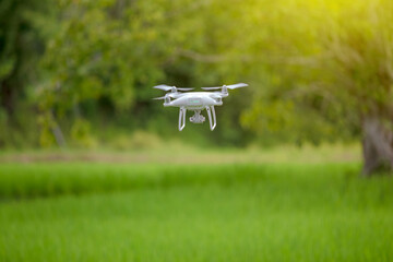 Drone flying over green wheat field in spring. Technology innovation in agricultural industry