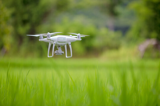 Drone flying over green wheat field in spring. Technology innovation in agricultural industry