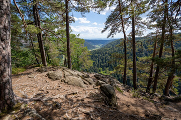 Schwarzwald bei Sankt Blasien