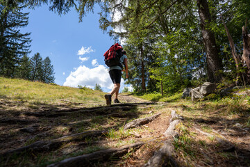 Schwarzwald bei Sankt Blasien