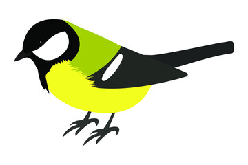 Yellow bird  great tit, vector stock illustration
