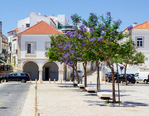 Fototapeta na wymiar One of the cantral squares in Lagos, Portugal. Beautiful blooming trees aligned in fron of the cute houses with tiled roofs. 