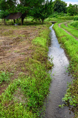 田舎の小川