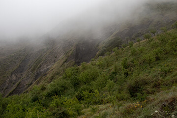 Majestic view on beautiful fog mountains in mist landscape. Dramatic unusual scene. Travel background. Exploring beauty world. Carpathian mountains. Ukraine. Europe. Trees in the mountains in the fog