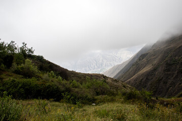 Green mountains in the clouds. Green Caucasus mountains in the clouds. Clouds descend in the...