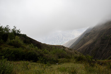 Green mountains in the clouds. Green Caucasus mountains in the clouds. Clouds descend in the...