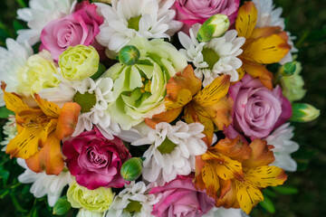close up. bouquet of colorful flowers on green lawn.