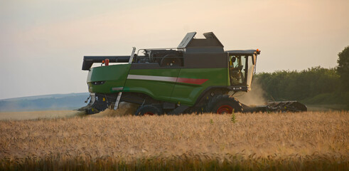 Harvester harvests wheat in the field at sunset closeup. Agriculture banner concept. Stork in the...