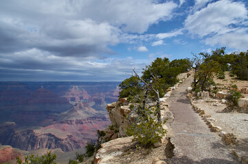 Grand Canyon walking pad on the edge