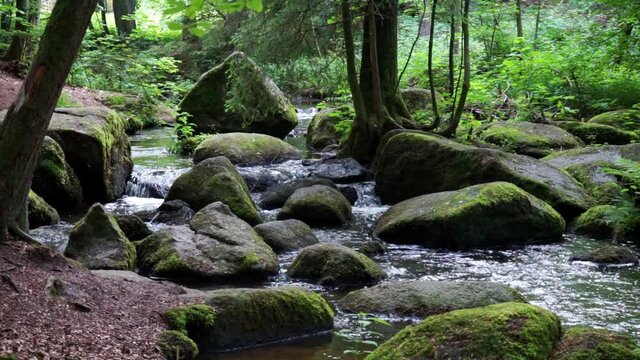 Wanderung durch "Die H&ouml;lle" H&ouml;llbachtal im Bayerischen Wald Niederbayern Deutschland