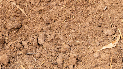 soil texture background