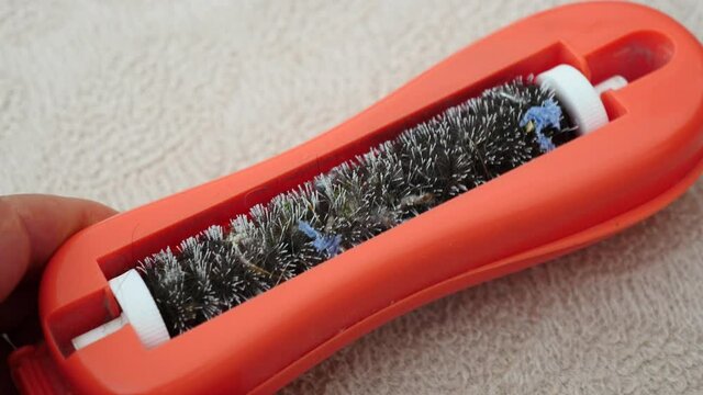 carpet sweeper, carpet sweeper collecting dirt on the carpet,