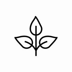 Outline plant icon.Plant vector illustration. Symbol for web and mobile