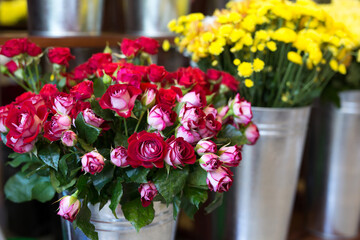 Beautiful colorful flowers in flower shop