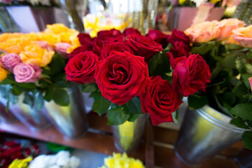 Beautiful colorful flowers in flower shop