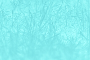 Blue turquoise abstract background with grass pattern