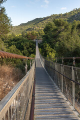 The suspension bridge  in the public Nesher Park suspension bridges in Nesher city in northern Israel