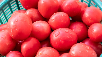 Bright red tomatoes