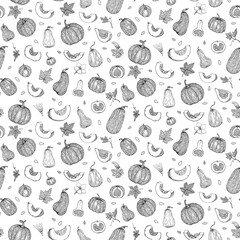 Vector botanical seamless pattern with pumpkins, flowers and leaves in sketch style. Black and white background of pumpkins, squash, seed. Cute autumn texture for thanksgiving, harvest and halloween.