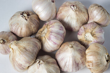 Garlic on a white background. A bunch of garlic in the middle of the frame. Agriculture concept