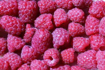 Raspberry close-up background sunny summer full-frame healthy food