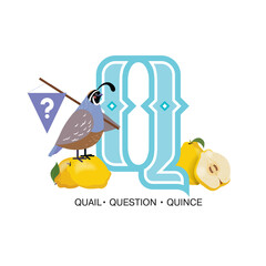 ABC Nursery Decor Print. Letter Q is for quail with question and quinces