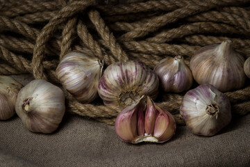 Garlic lies in a jute rope on a sacking. Half garlic among whole garlic. Agriculture concept