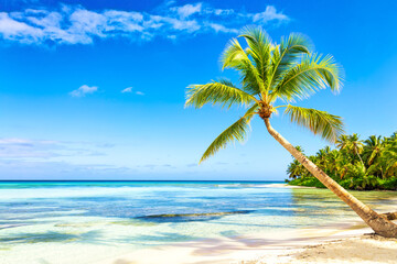 Naklejka na ściany i meble Tropical white sandy beach with palm trees. Saona Island, Dominican Republic. Vacation travel background.