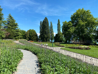 Landscape of The Flower Island Mainau on the Lake Constance or Landschaft der Blumeninsel im...