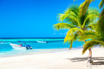 Palm trees on the caribbean tropical beach with boats and turquoise sea. Saona Island, Dominican Republic. Vacation travel background