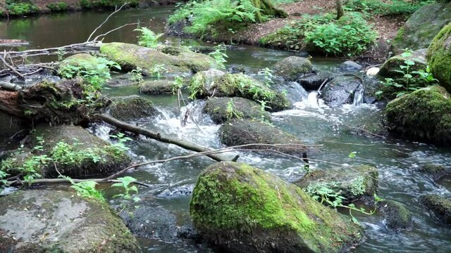 Wanderung durch "Die H&ouml;lle" H&ouml;llbachtal im Bayerischen Wald Niederbayern Deutschland