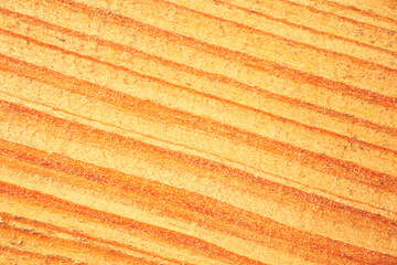 The longitudinal sawed down the tree. Dry wooden board. Lines of annual tree rings.