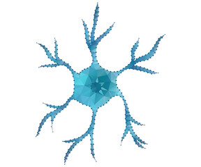 neuron, star, polygon, b-w2