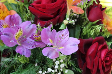 Background of red and purple flowers