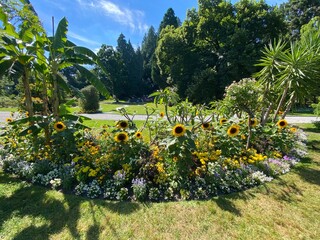 Landscape of The Flower Island Mainau on the Lake Constance or Landschaft der Blumeninsel im...