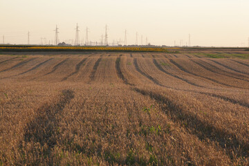 Fototapeta na wymiar tracks in an agricultural field with electric poles in the distance
