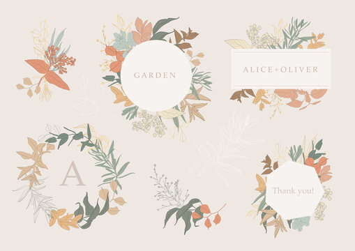 Botanical garden. Vector collection of hand drawn plant elements