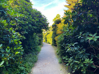Landscape of The Flower Island Mainau on the Lake Constance or Landschaft der Blumeninsel im...