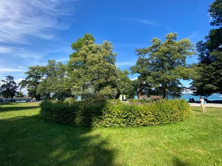 Landscape of The Flower Island Mainau on the Lake Constance or Landschaft der Blumeninsel im...