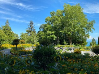 Landscape of The Flower Island Mainau on the Lake Constance or Landschaft der Blumeninsel im...