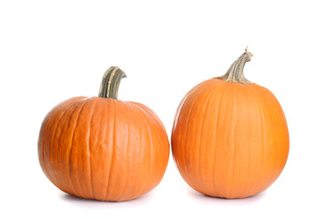 Obraz premium two pumpkins on white background