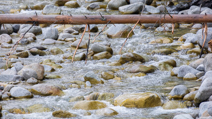 potok górski z powalonym drzewem © Mariusz Sowula