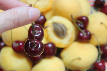 close up of a handful of cherry fruit and apricots background
