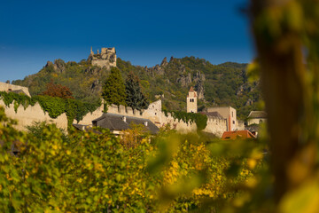 Dürnstein Castle surrounded by vineyard in Wachau Valley, Austria