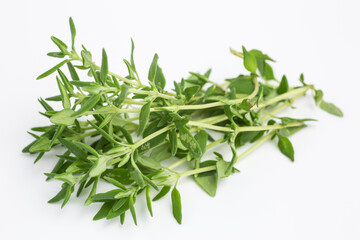 bunch of thyme - thymus vulgaris