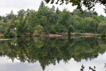 reflection of trees in the lake